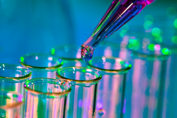 lab
