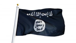 www.fuelfreedom.org