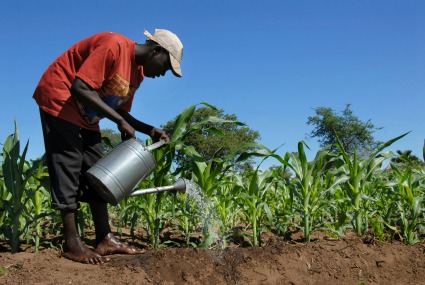 Africa-farming