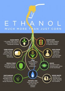 FFFInfographics_1Feedstocks_4