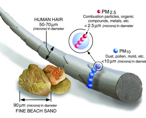 PM2.5 graphic