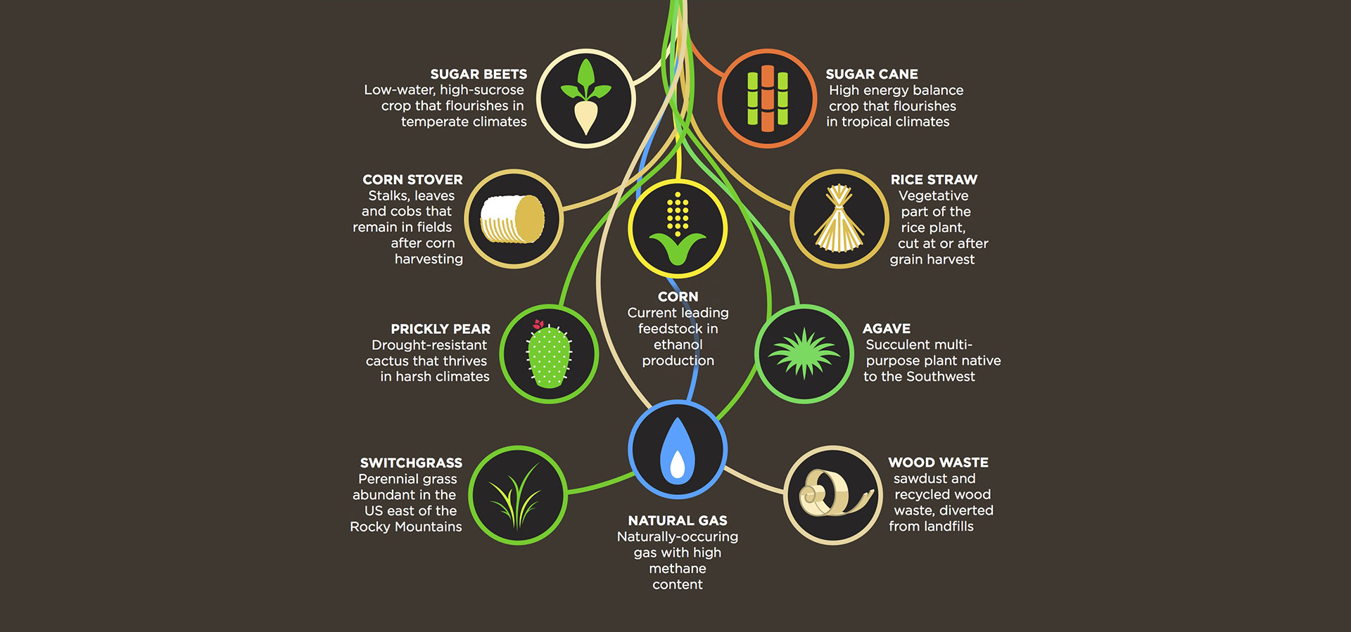 Bottom Infographic