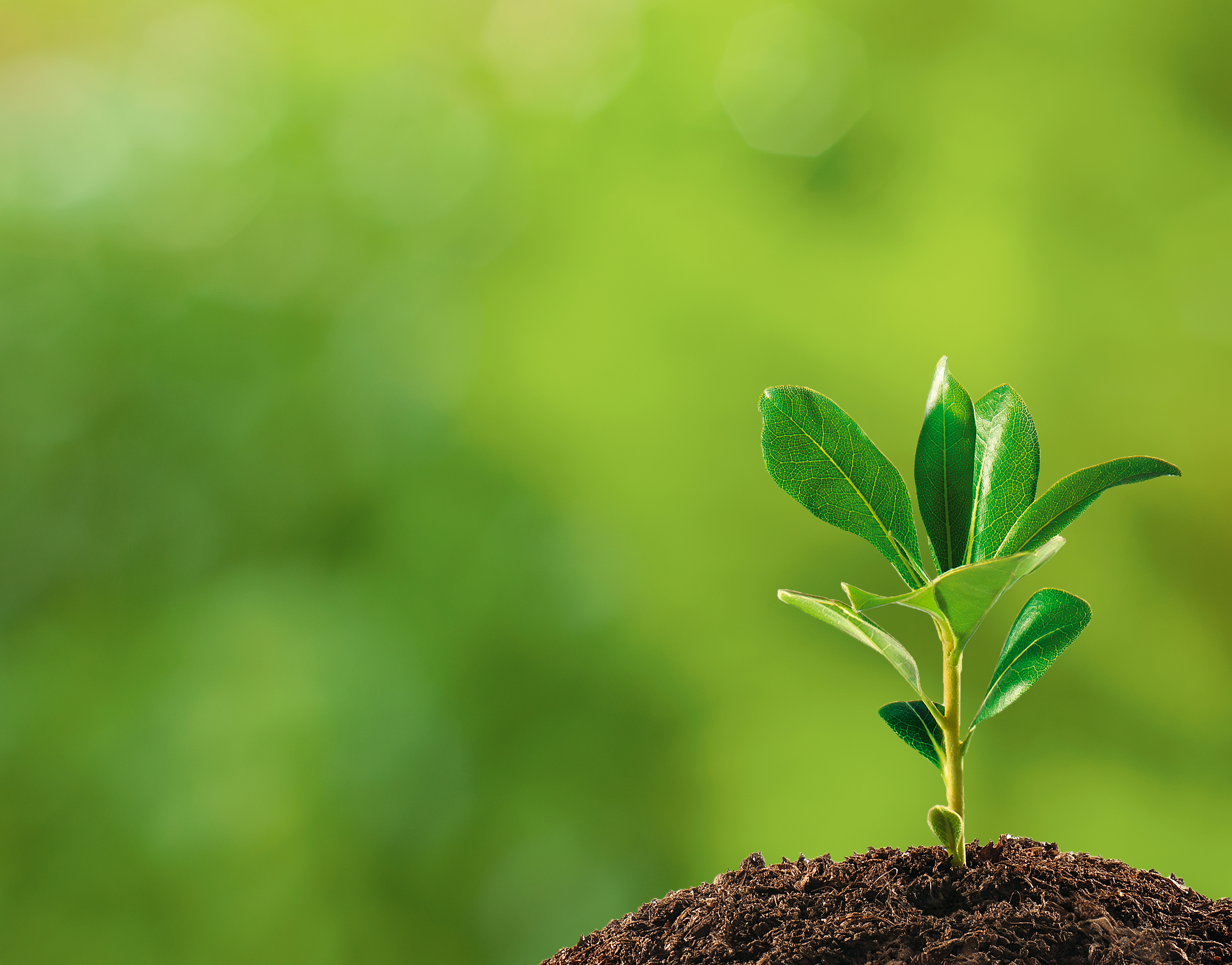 4 ways fuel choice helps the environment -- Fuel Freedom